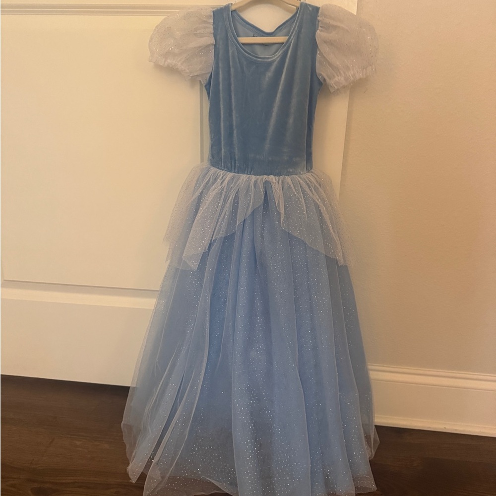 Blue Cinderella Kids Costume
